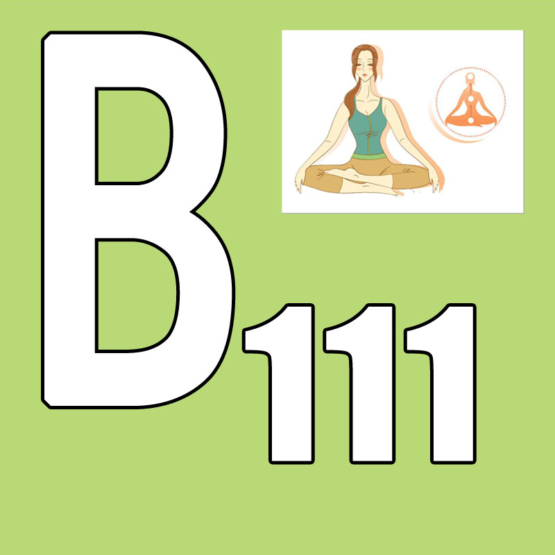 Yoga Fitness Course - 激安セール 最新発売 2026.Q1 新コース BB 111